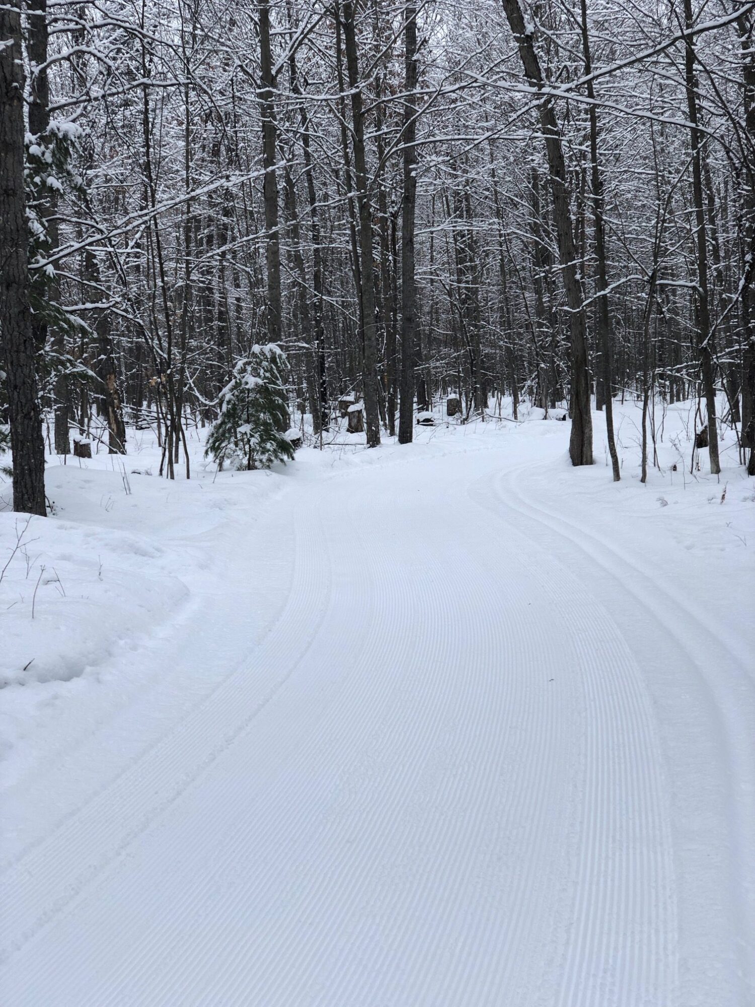 Cross Country Ski Report- Wednesday, Jan 20th - Cross Country Ski