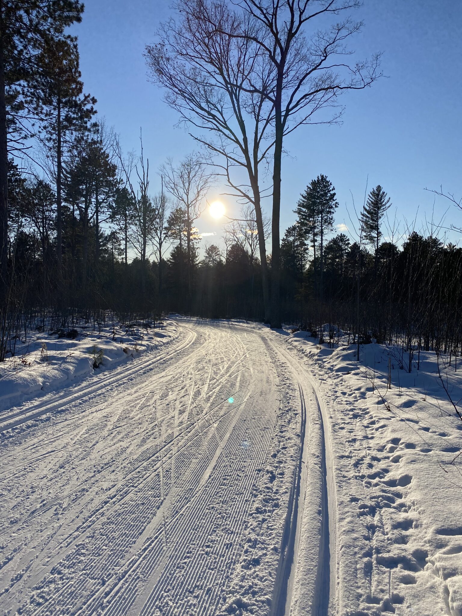 Cross Country Ski Report - Saturday, Jan 29th - Cross Country Ski Headquarters