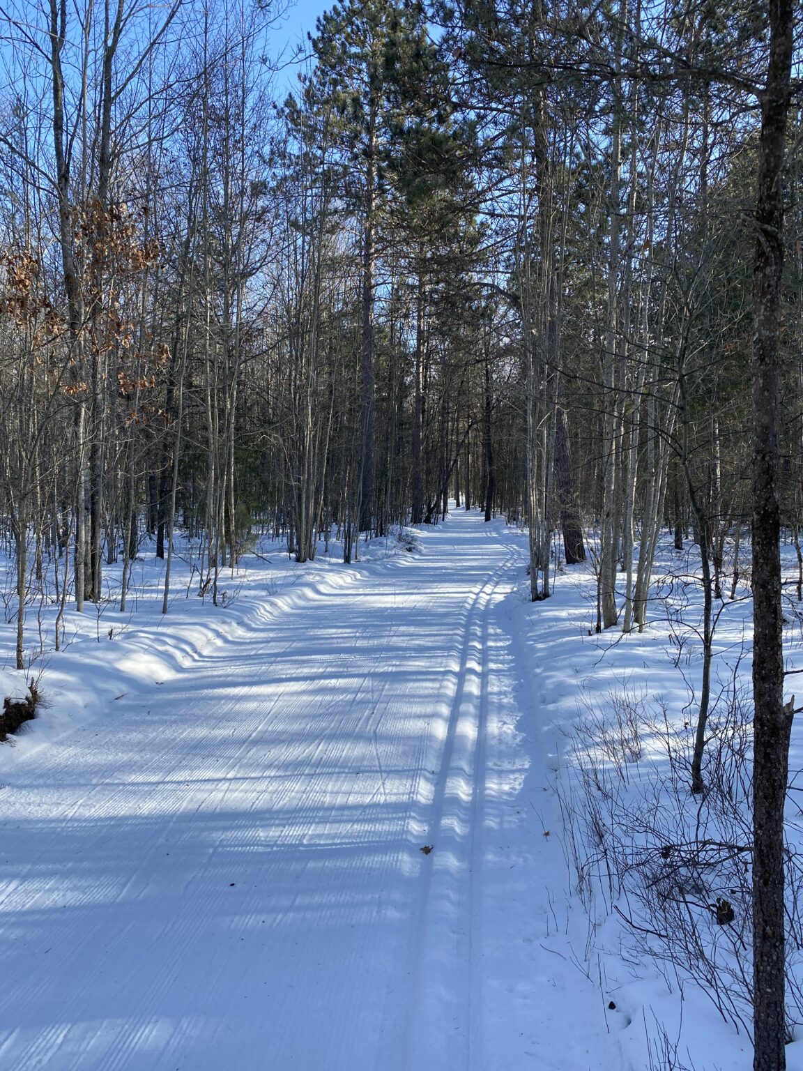 Cross Country Ski Report - Saturday, Feb 19th - Cross Country Ski