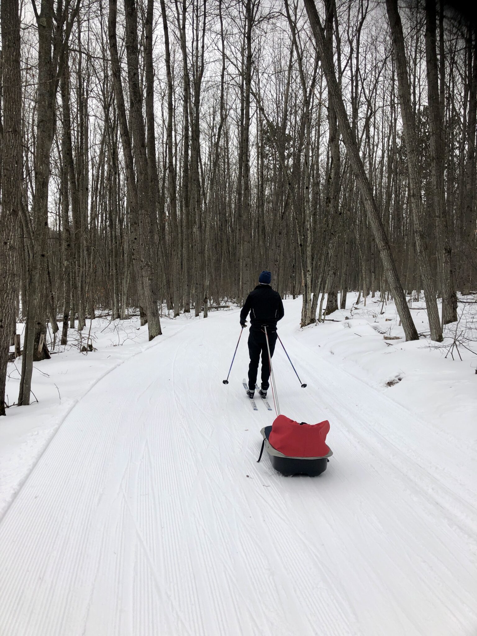 Cross Country Ski Report - Wednesday, March 2nd - Cross Country Ski Headquarters