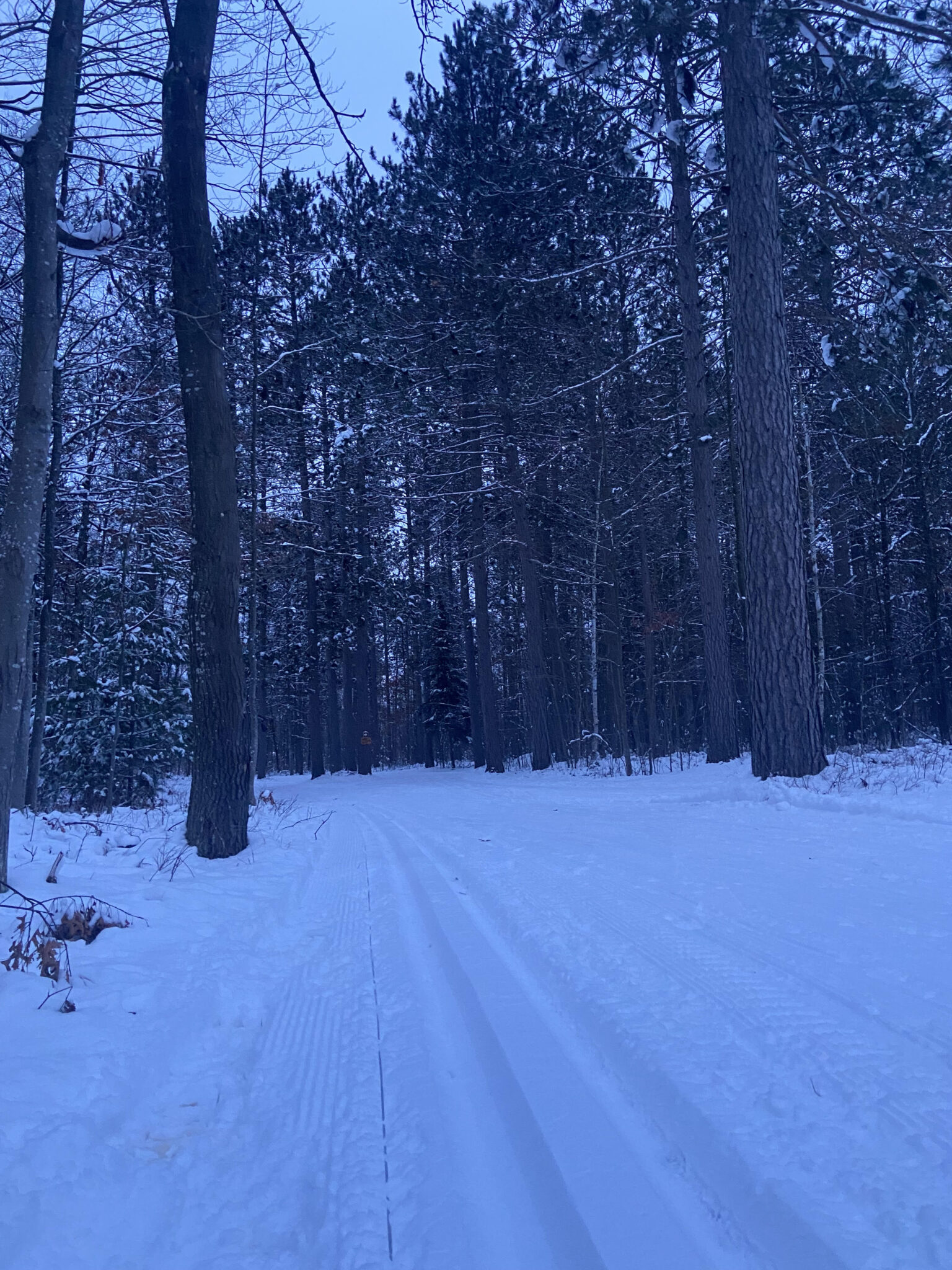 cross-country-ski-report-friday-january-12th-cross-country-ski