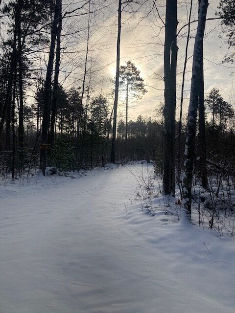 XC Ski HQ Trails