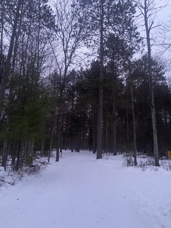 Trail Conditions XC SKI HQ