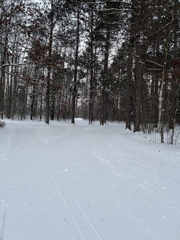 Cross Country Ski Headquarters Trails