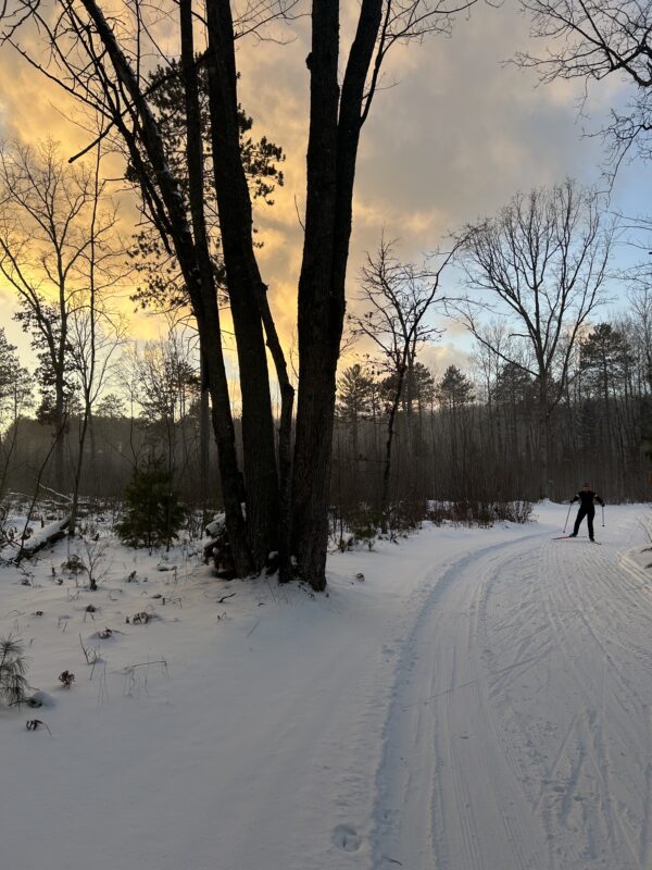 skate skiing cross country ski headquarters