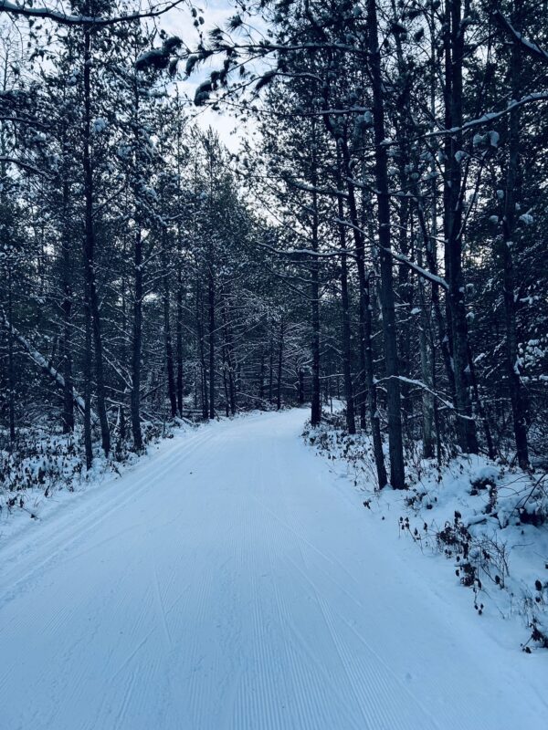 Great Conditions at XC Ski HQ