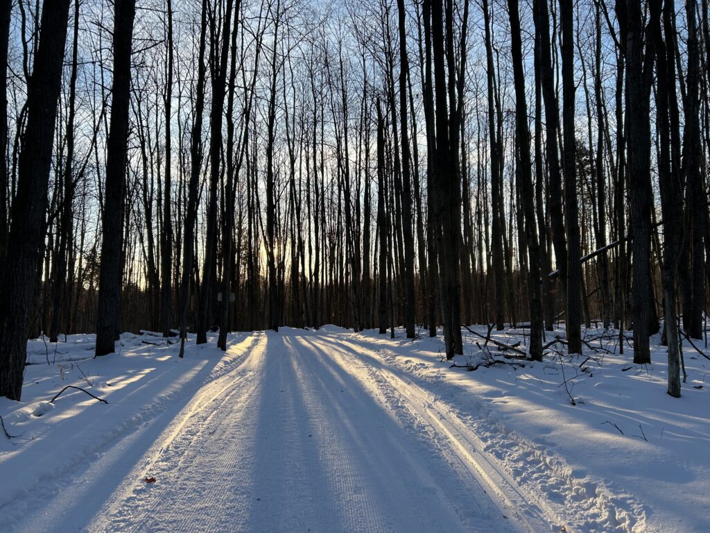 Great XC Ski Conditions XC SKI HQ